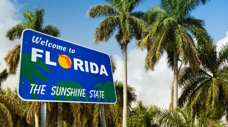 Florida College Road Sign (1)