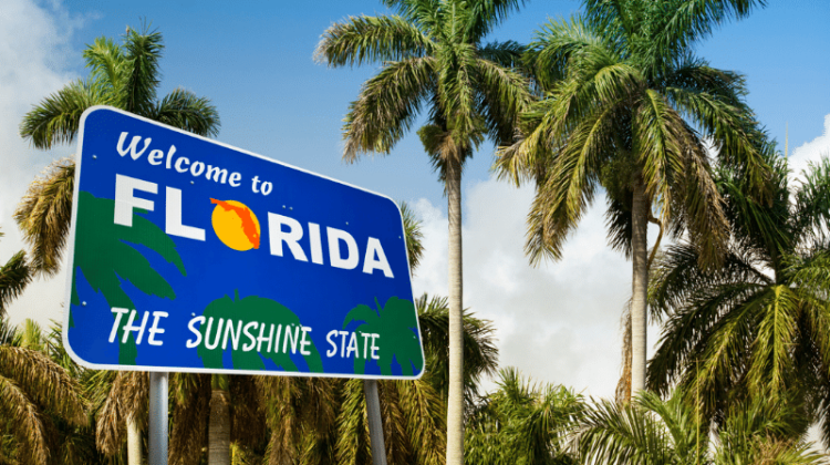 Florida College Road Sign (1)